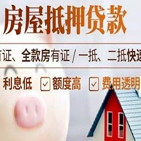 玉树贷款助贷公司新渝启服成立时间久